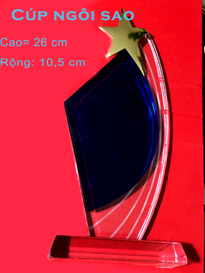 cup- ngoi- sao- 2